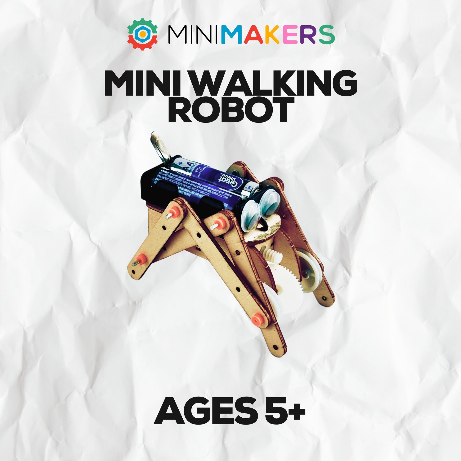 Mini Walking Robot