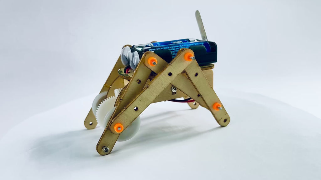 Mini Walking Robot