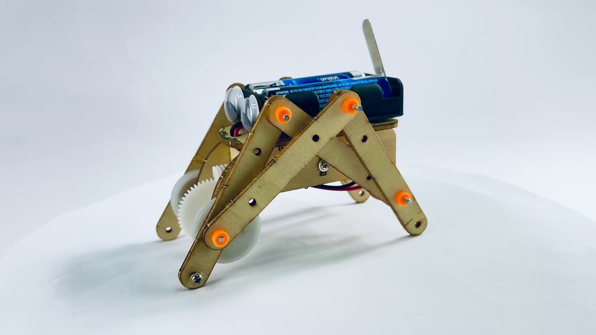 Mini Walking Robot
