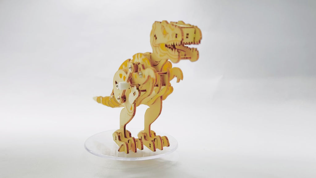 All About Dinaosaurs: The Tyrannosaurus Rex!